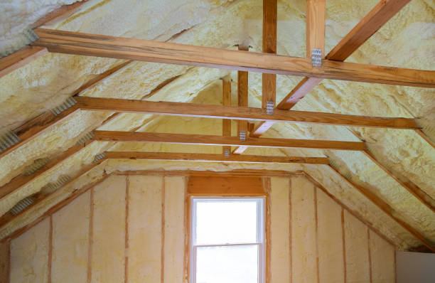 Best Insulation Maintenance and Repair in Jacinto City, TX