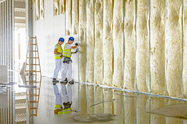 Best Geographic-Specific Insulation Services in Jacinto City, TX